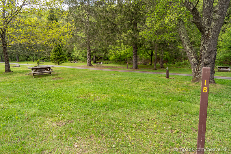 Campsite Photo of Site 18 at Beaverkill Campground, New York - Looking at Site from Road Sign Visible