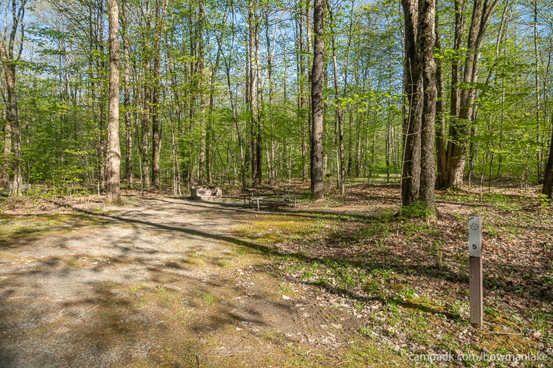 Campsite Photo of Site 5 at Bowman Lake State Park, New York - Looking at Site from Road Sign Visible