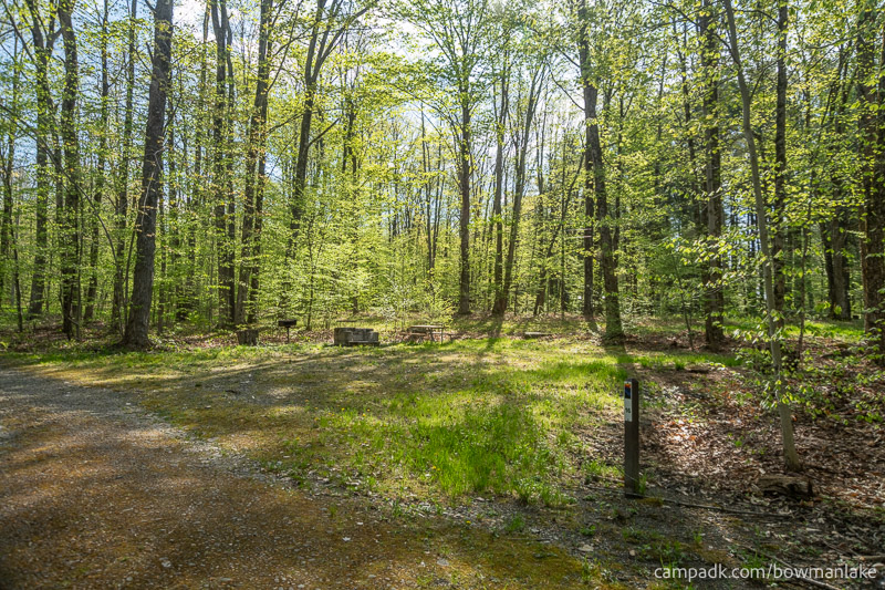 Campsite Photo of Site 16 at Bowman Lake State Park, New York - Looking at Site from Road Sign Visible