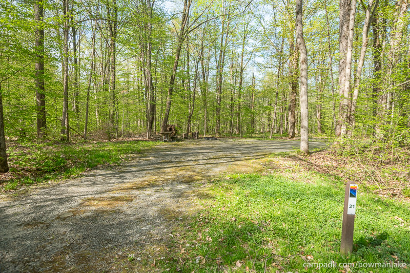 Campsite Photo of Site 21 at Bowman Lake State Park, New York - Looking at Site from Road Sign Visible