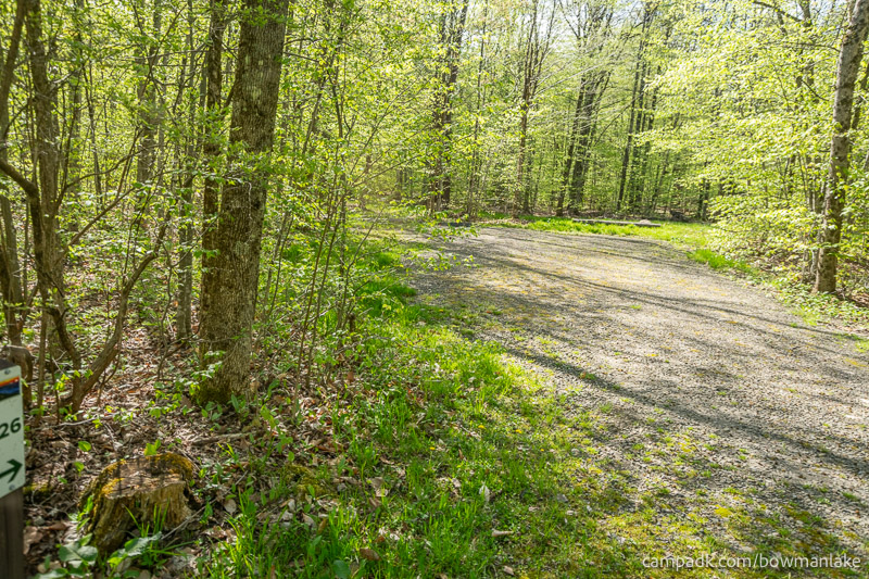 Campsite Photo of Site 26 at Bowman Lake State Park, New York - Looking at Site from Road Sign Visible