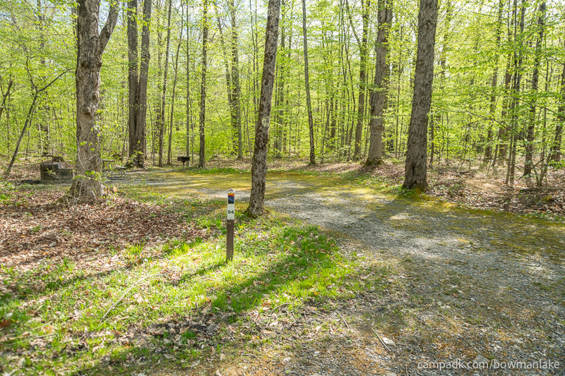 Campsite Photo of Site 94 at Bowman Lake State Park, New York - Looking at Site from Road Sign Visible