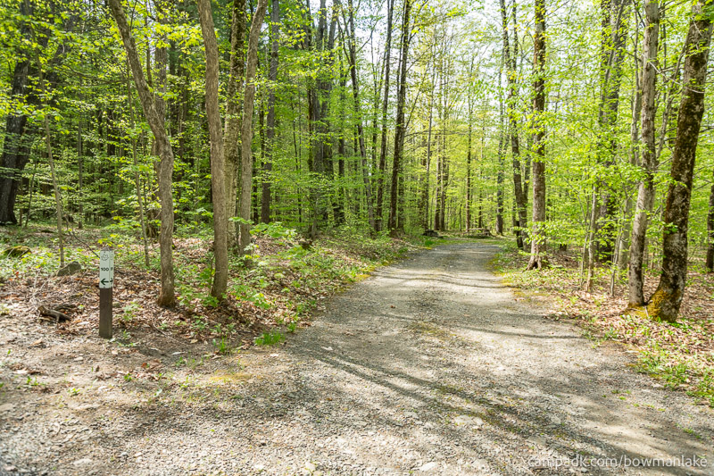 Campsite Photo of Site 99 at Bowman Lake State Park, New York - Looking at Site from Road Sign Visible