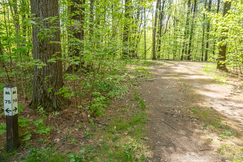 Campsite Photo of Site 74 at Bowman Lake State Park, New York - Looking at Site from Road Sign Visible