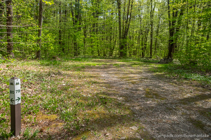 Campsite Photo of Site 79 at Bowman Lake State Park, New York - Looking at Site from Road Sign Visible