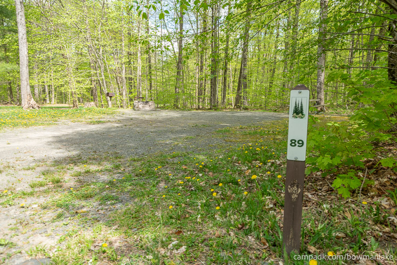 Campsite Photo of Site 89 at Bowman Lake State Park, New York - Looking at Site from Road Sign Visible