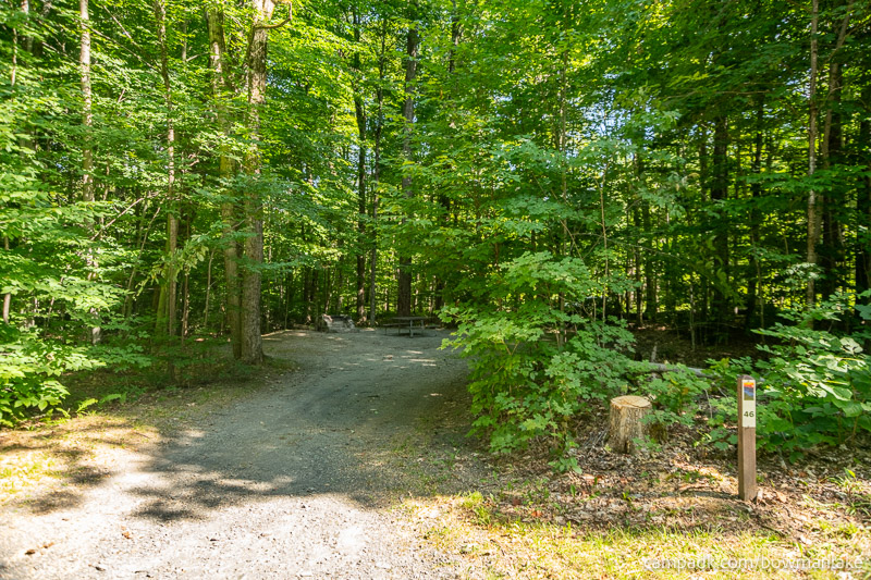 Campsite Photo of Site 46 at Bowman Lake State Park, New York - Looking at Site from Road Sign Visible