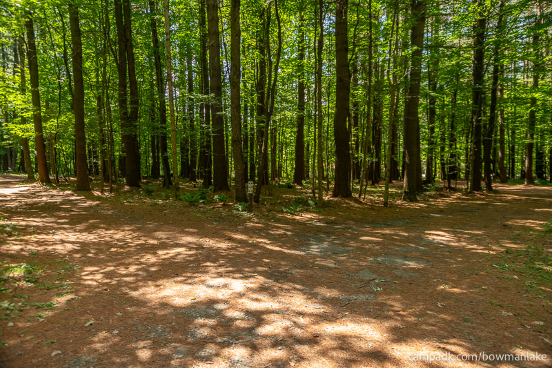 Campsite Photo of Site 51 at Bowman Lake State Park, New York - Looking at Site from Road Sign Visible