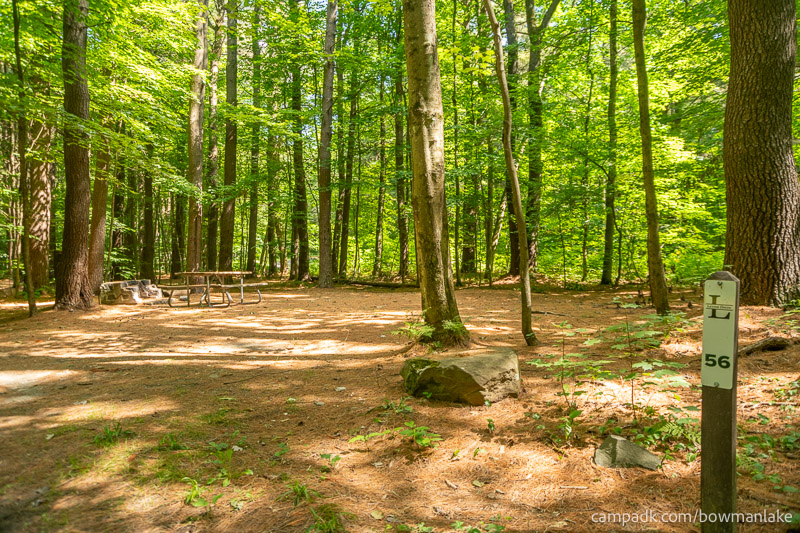 Campsite Photo of Site 56 at Bowman Lake State Park, New York - Looking at Site from Road Sign Visible