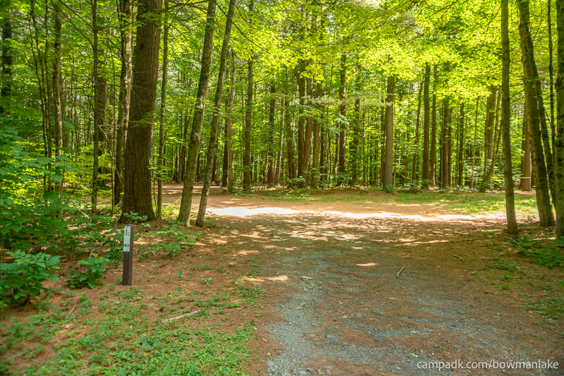 Campsite Photo of Site 63 at Bowman Lake State Park, New York - Looking at Site from Road Sign Visible