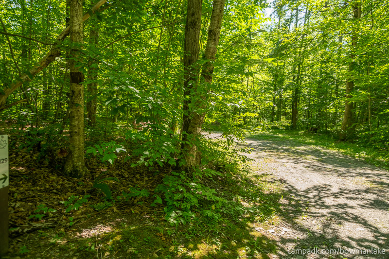 Campsite Photo of Site 129 at Bowman Lake State Park, New York - Looking at Site from Road Sign Visible