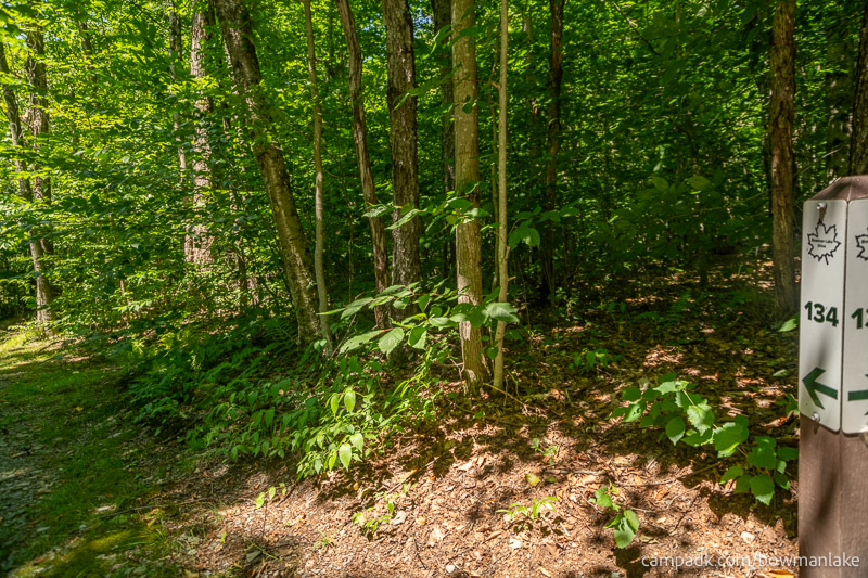 Campsite Photo of Site 134 at Bowman Lake State Park, New York - Looking at Site from Road Sign Visible
