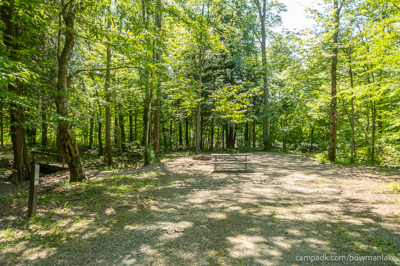 Campsite Photo of Site 139 at Bowman Lake State Park, New York - Looking at Site from Road Sign Visible