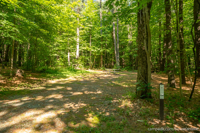 Campsite Photo of Site 156 at Bowman Lake State Park, New York - Looking at Site from Road Sign Visible