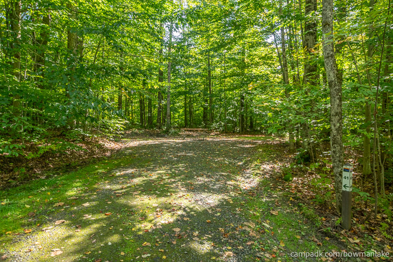Campsite Photo of Site 41 at Bowman Lake State Park, New York - Looking at Site from Road Sign Visible