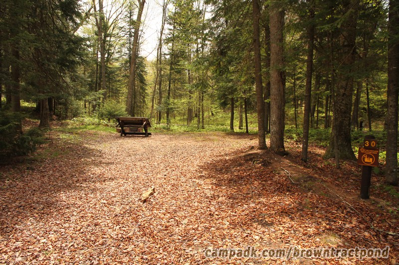 Campsite Photo of Site 30 at Brown Tract Pond Campground, New York - Looking at Site from Road Sign Visible