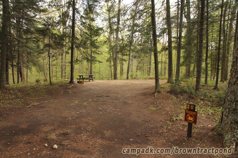 Campsite Photo of Site 20 at Brown Tract Pond Campground, New York - Looking at Site from Road Sign Visible