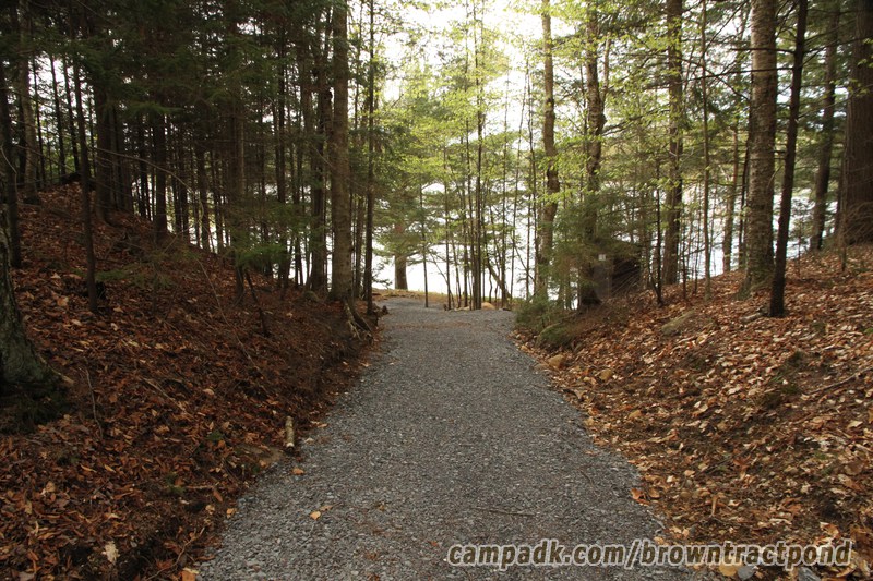 Campsite Photo of Site 70 at Brown Tract Pond Campground, New York - Looking at Site from Road Sign Visible