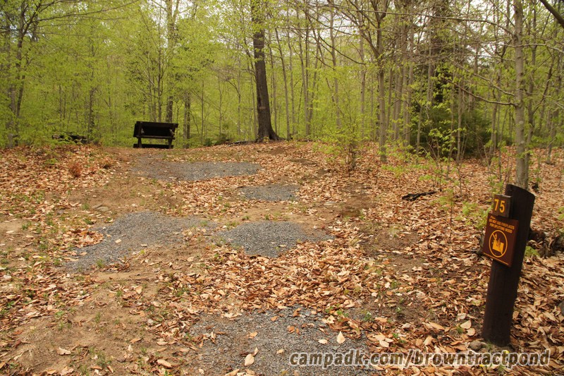 Campsite Photo of Site 75 at Brown Tract Pond Campground, New York - Looking at Site from Road Sign Visible