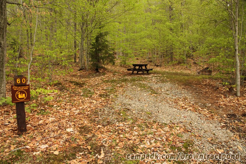Campsite Photo of Site 60 at Brown Tract Pond Campground, New York - Looking at Site from Road Sign Visible
