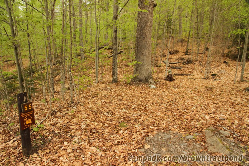 Campsite Photo of Site 55 at Brown Tract Pond Campground, New York - Looking at Site from Road Sign Visible