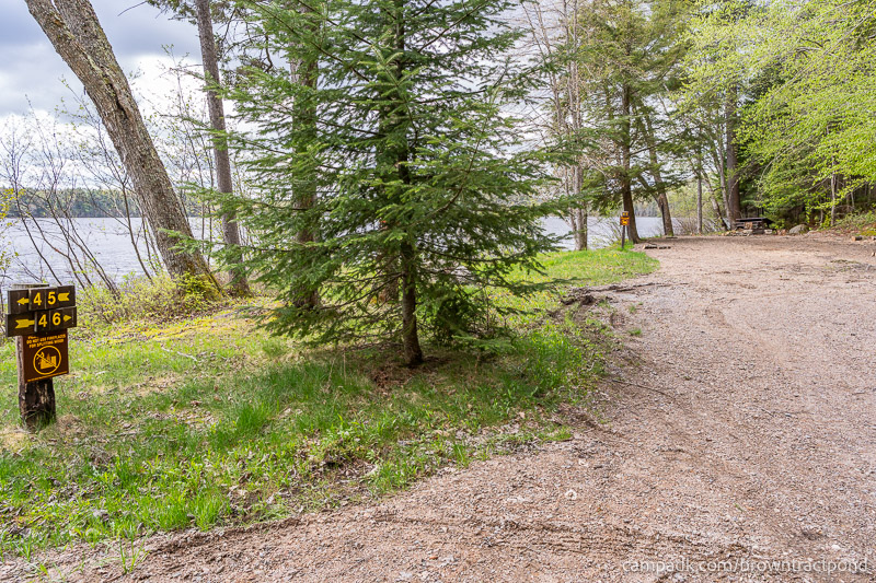 Campsite Photo of Site 46 at Brown Tract Pond Campground, New York - Looking at Site from Road Sign Visible