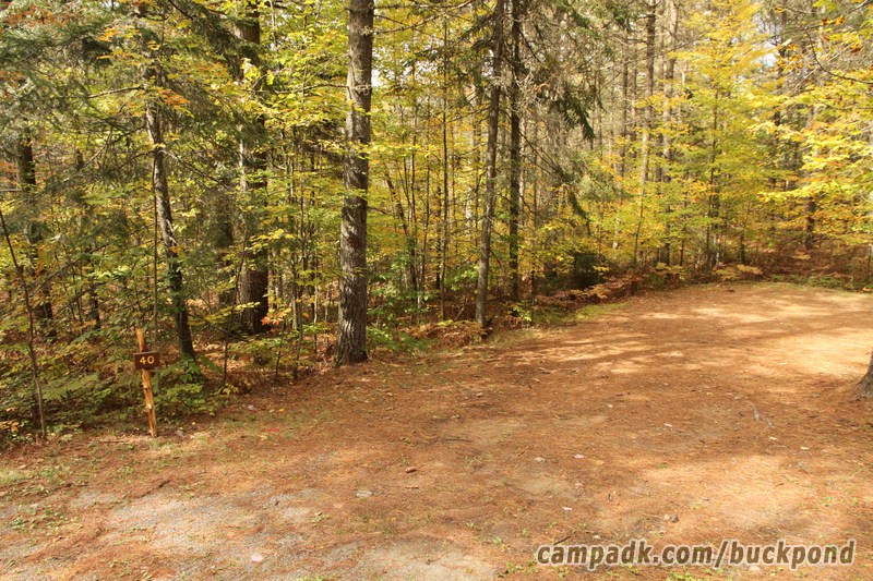 Campsite Photo of Site 40 at Buck Pond Campground, New York - Looking at Site from Road Sign Visible
