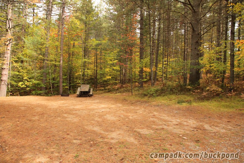 Campsite Photo of Site 50 at Buck Pond Campground, New York - Looking at Site from Road Sign Visible