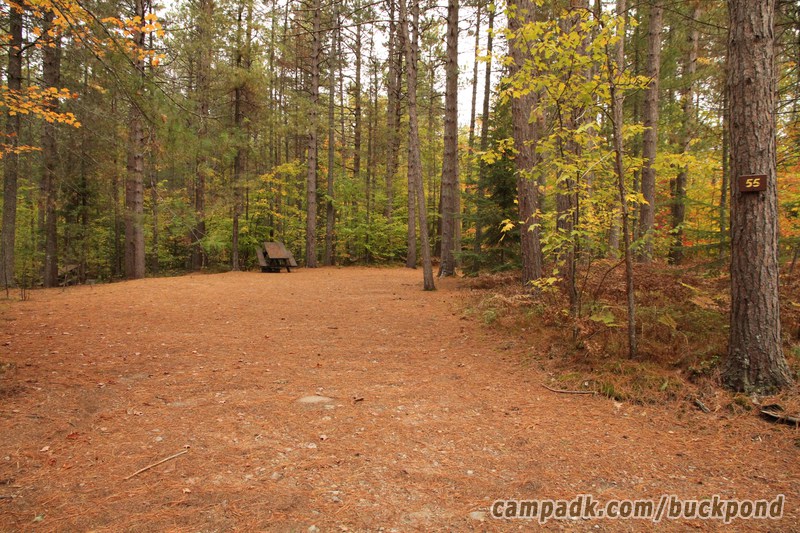 Campsite Photo of Site 55 at Buck Pond Campground, New York - Looking at Site from Road Sign Visible