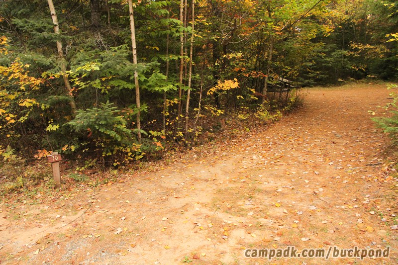 Campsite Photo of Site 70 at Buck Pond Campground, New York - Looking at Site from Road Sign Visible
