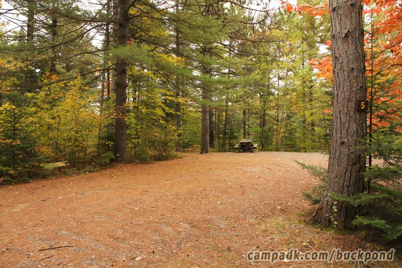 Campsite Photo of Site 5 at Buck Pond Campground, New York - Looking at Site from Road Sign Visible