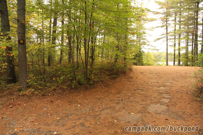 Campsite Photo of Site 15 at Buck Pond Campground, New York - Looking at Site from Road Sign Visible
