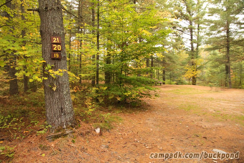 Campsite Photo of Site 20 at Buck Pond Campground, New York - Looking at Site from Road Sign Visible