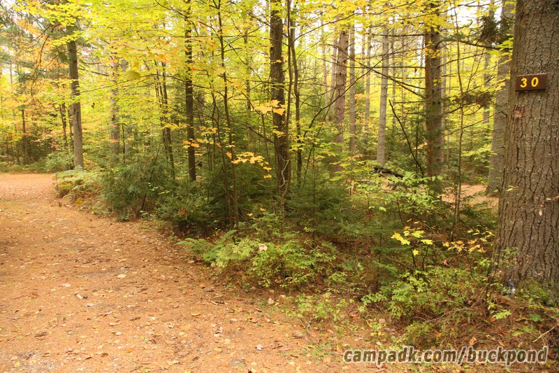Campsite Photo of Site 30 at Buck Pond Campground, New York - Looking at Site from Road Sign Visible