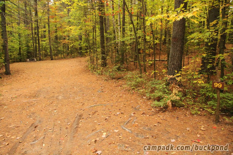 Campsite Photo of Site 99 at Buck Pond Campground, New York - Looking at Site from Road Sign Visible