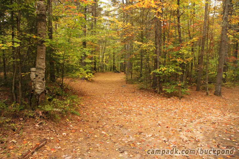 Campsite Photo of Site 104 at Buck Pond Campground, New York - Looking at Site from Road Sign Visible