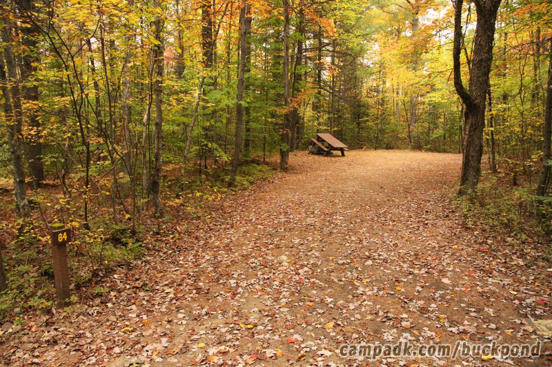 Campsite Photo of Site 84 at Buck Pond Campground, New York - Looking at Site from Road Sign Visible