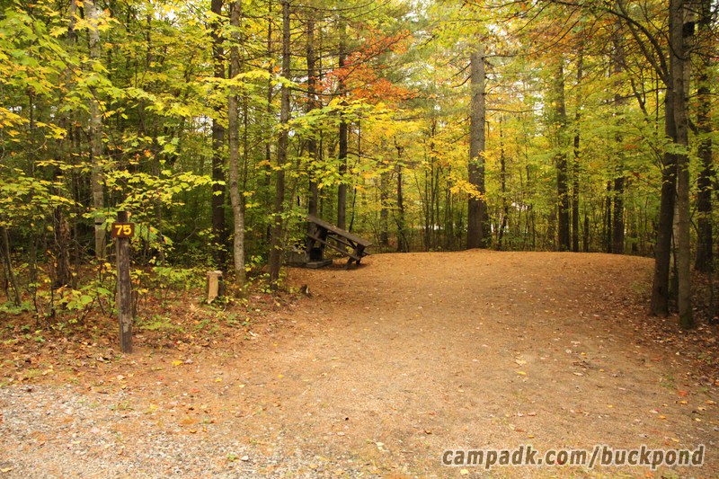 Campsite Photo of Site 75 at Buck Pond Campground, New York - Looking at Site from Road Sign Visible