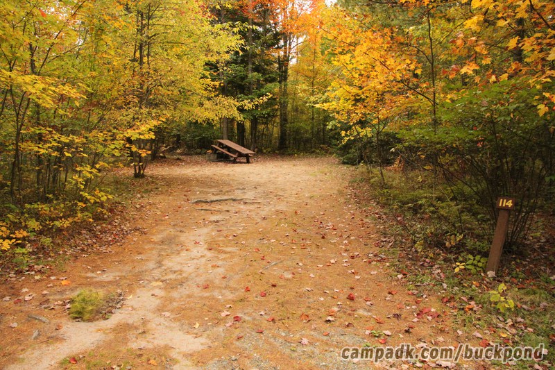 Campsite Photo of Site 114 at Buck Pond Campground, New York - Looking at Site from Road Sign Visible