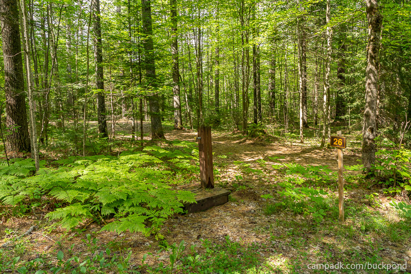 Campsite Photo of Site 26 at Buck Pond Campground, New York - Looking at Site from Road Sign Visible