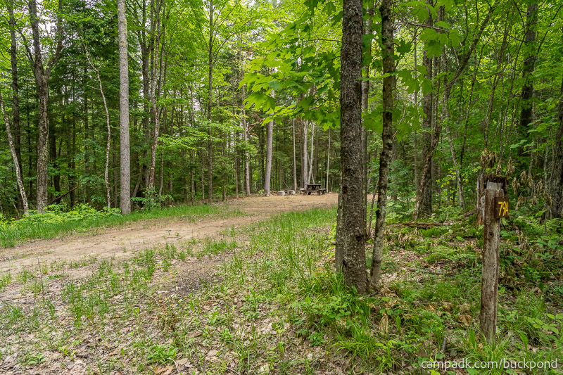 Campsite Photo of Site 79A at Buck Pond Campground, New York - Looking at Site from Road Sign Visible
