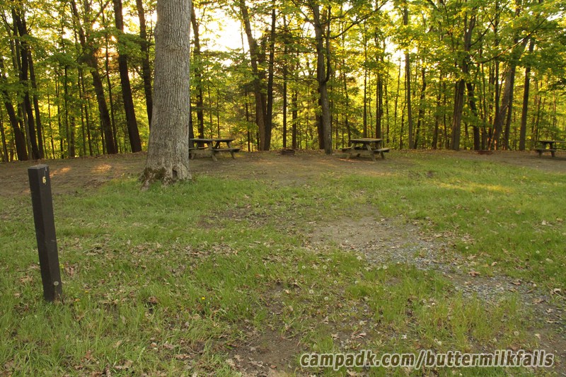 Campsite Photo of Site 6 at Buttermilk Falls State Park, New York - Looking at Site from Road Sign Visible