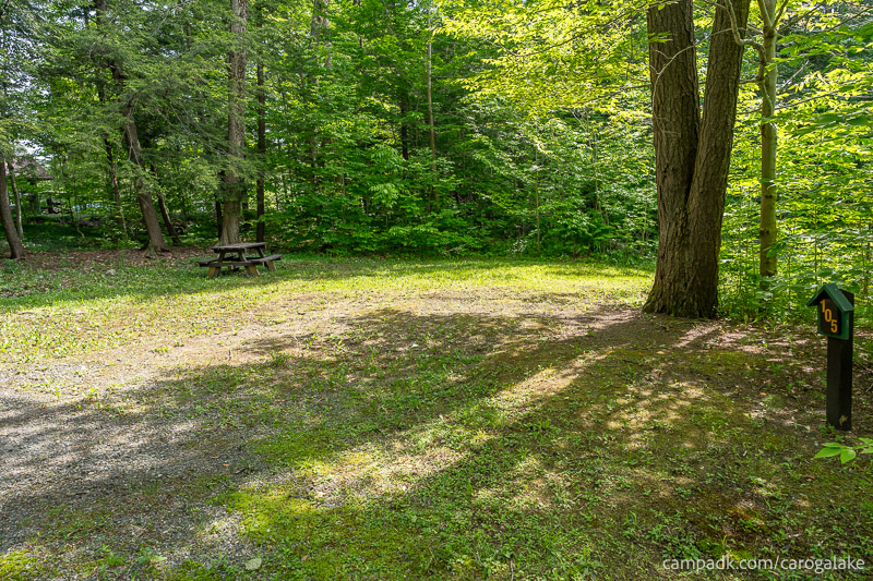 Campsite Photo of Site 105 at Caroga Lake Campground, New York - Looking at Site from Road Sign Visible