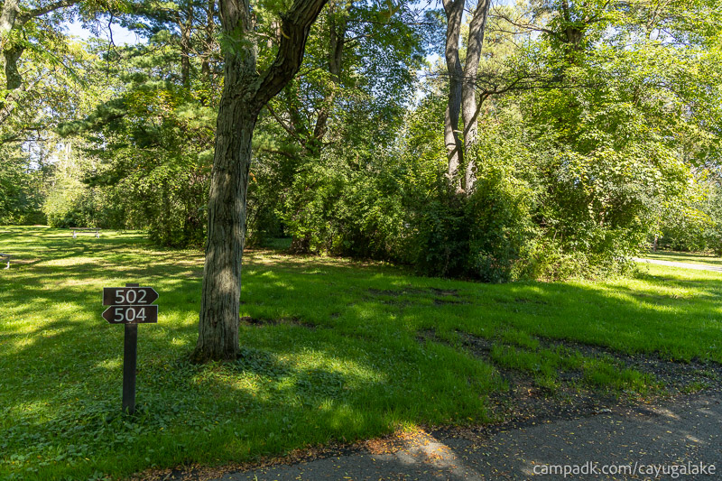 Campsite Photo of Site 502 at Cayuga Lake State Park, New York - Looking at Site from Road Sign Visible