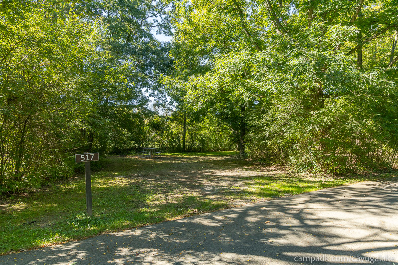 Campsite Photo of Site 517 at Cayuga Lake State Park, New York - Looking at Site from Road Sign Visible
