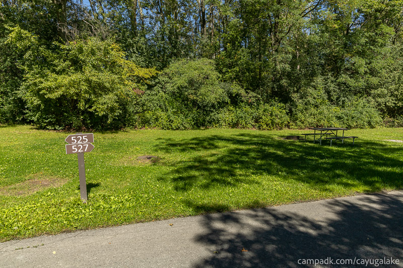 Campsite Photo of Site 527 at Cayuga Lake State Park, New York - Looking at Site from Road Sign Visible