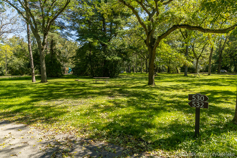 Campsite Photo of Site 532 at Cayuga Lake State Park, New York - Looking at Site from Road Sign Visible