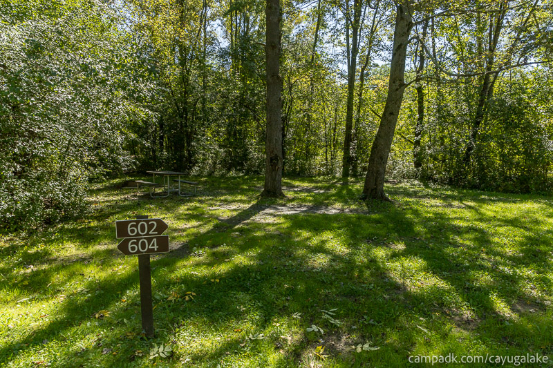 Campsite Photo of Site 602 at Cayuga Lake State Park, New York - Looking at Site from Road Sign Visible