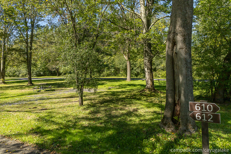Campsite Photo of Site 612 at Cayuga Lake State Park, New York - Looking at Site from Road Sign Visible