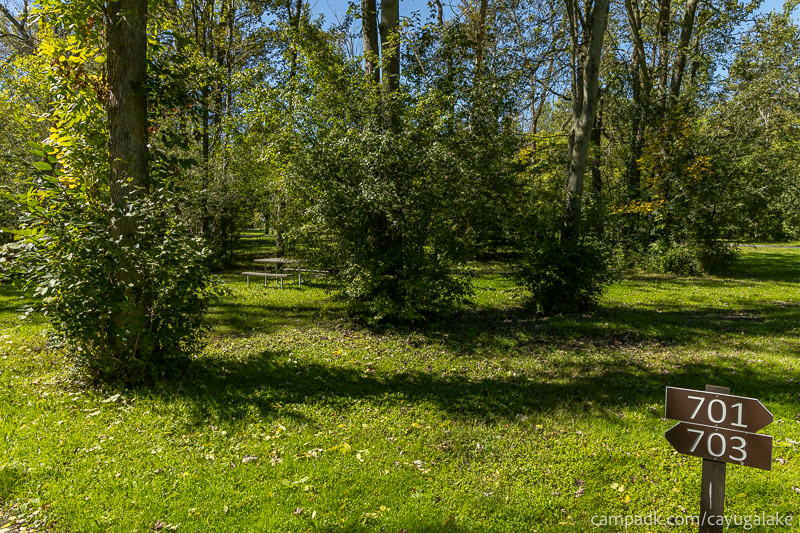 Campsite Photo of Site 703 at Cayuga Lake State Park, New York - Looking at Site from Road Sign Visible